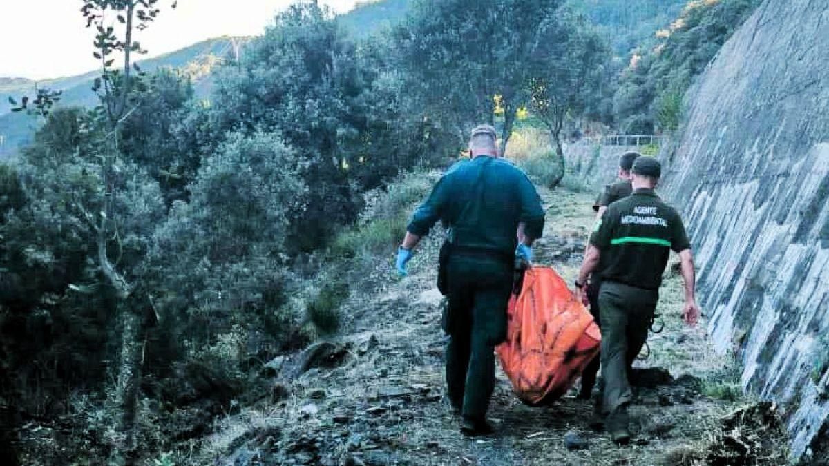 Hallan cuerpo de oso pardo ahogado en canal de desagüe en León: investigan causas de la muerte