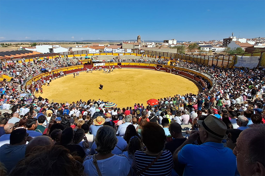 Un herido por cornada y traumatismo en los encierros de Almodóvar del Campo