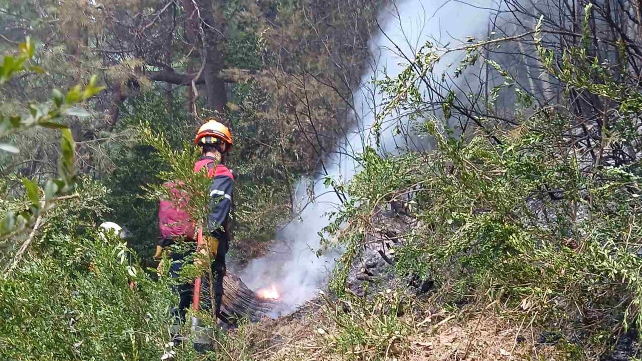 Sin avances durante la noche en el incendio de Urzainqui, que evoluciona de forma favorable