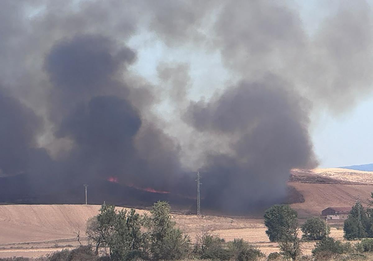 Incendio agrícola en Villalobar de La Rioja: Medios aéreos y terrestres trabajan en su extinción