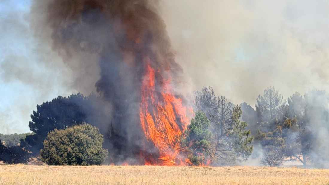 Casi cinco hectáreas calcinadas por incendio en Cubo de la Solana