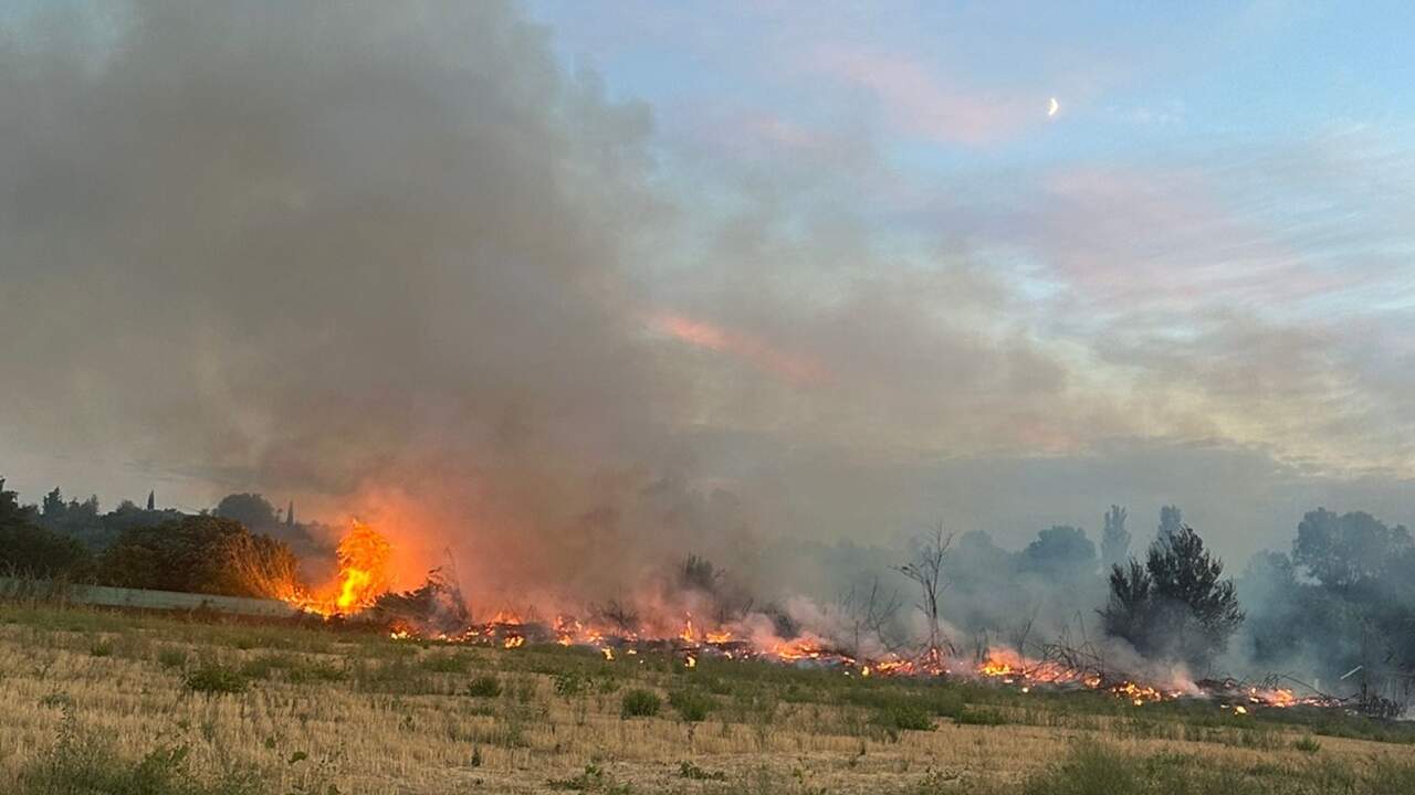 <p><strong>Incendio en Lodares: Bomberos controlan un fuego que amenazó vegetación y a dos personas en medio de fuertes vientos</strong></p>