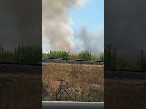 Incendio en las Marismas del Tinto genera alarma en Huelva capital