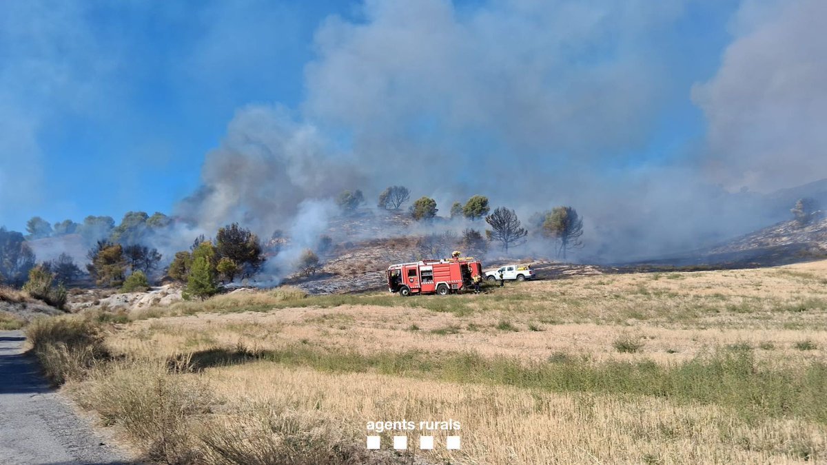 Un incendio forestal en la provincia de Lleida obliga a confinar un núcleo y corta la carretera N-230