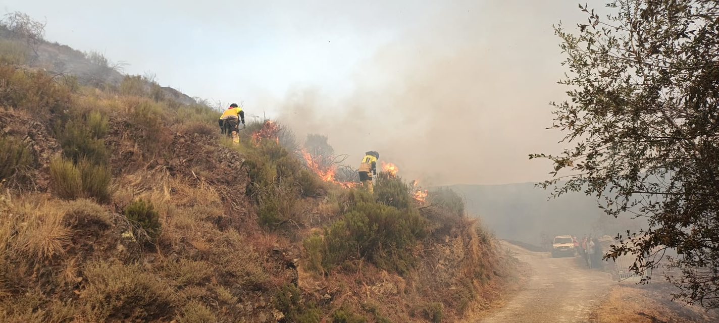 Incendio forestal
