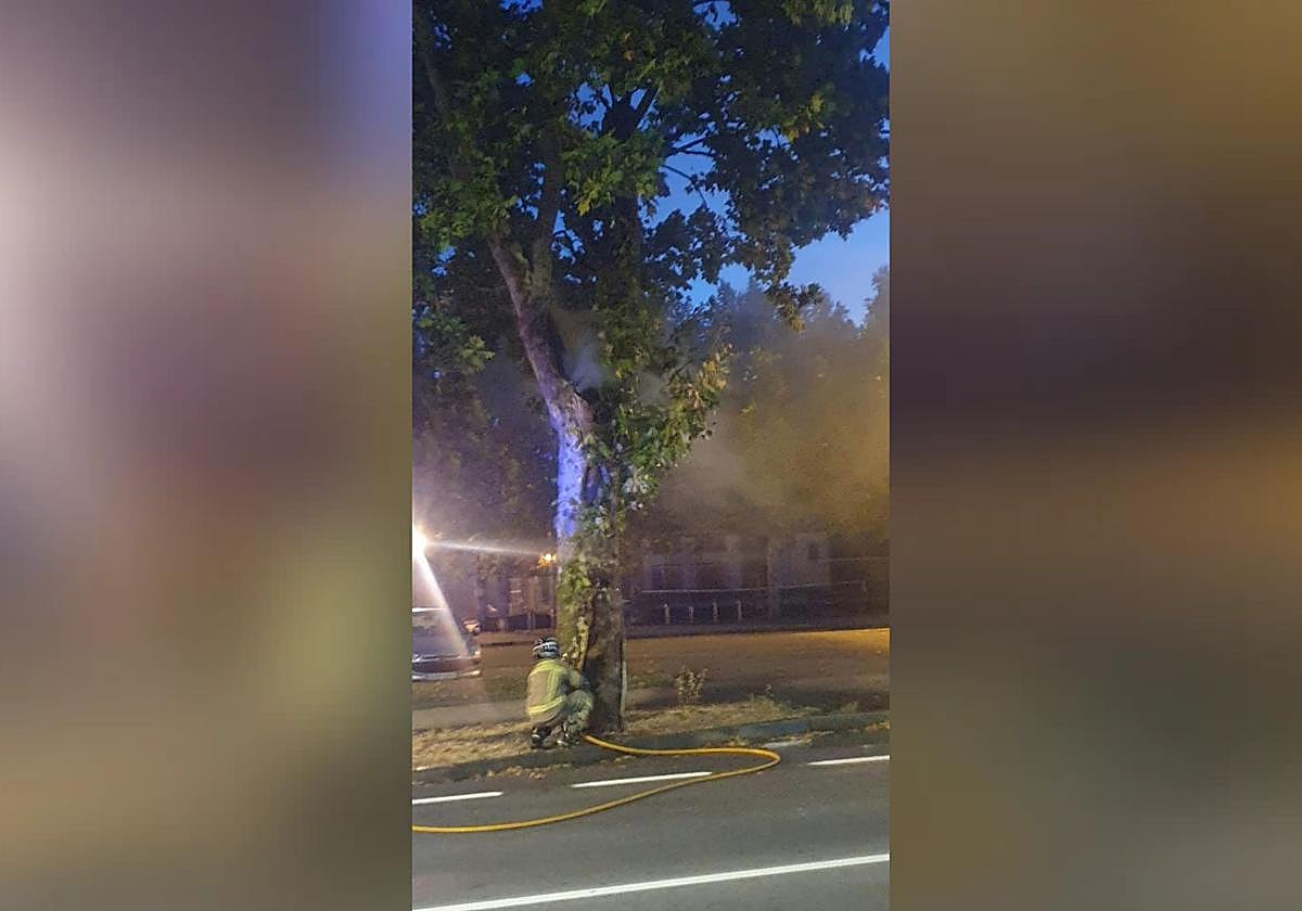 El incendio provocado de un árbol obliga a cortar la circulación de una calle de Burgos durante 40 minutos