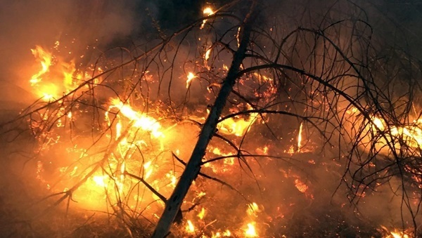 Investigado por provocar un incendio forestal en Beas al usar una radial junto a vegetación seca