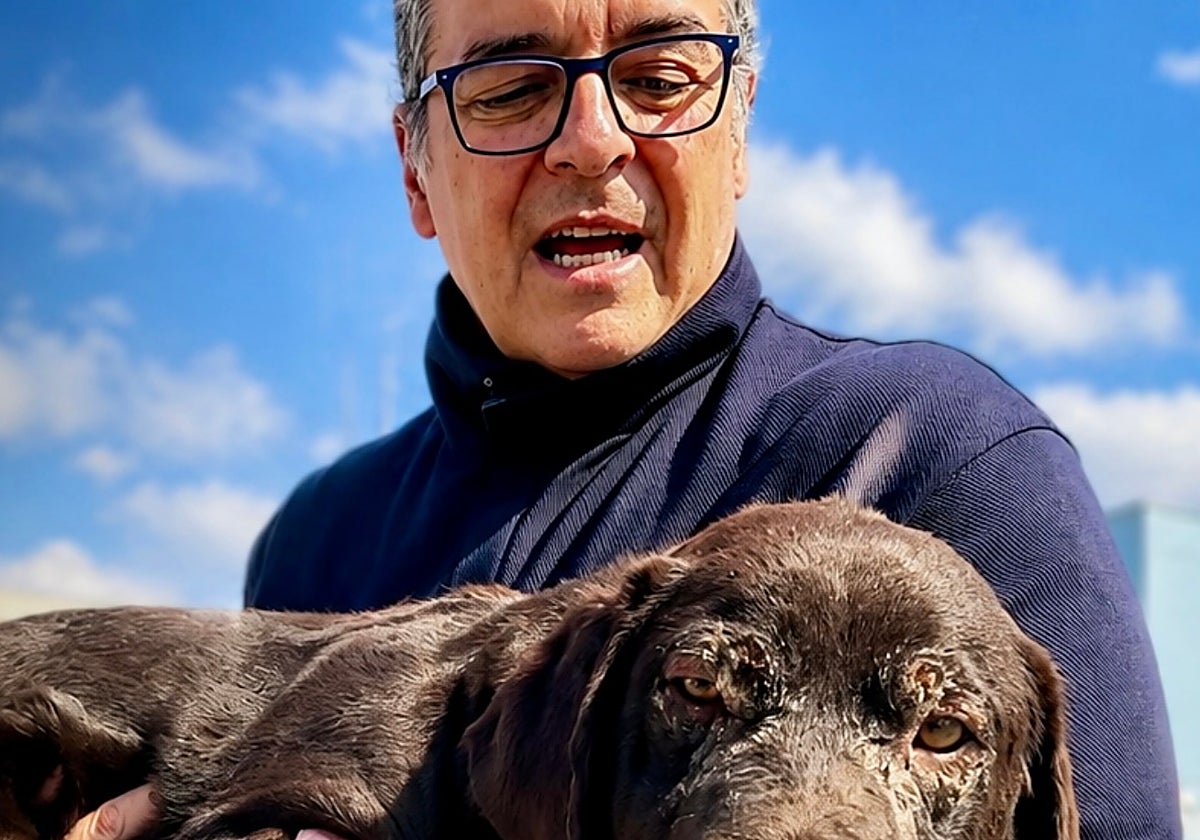 <p><strong>La Audiencia Provincial de Valencia absuelve a Iván J. C. y a sus colaboradores de los cargos de estafa agravada</strong></p>