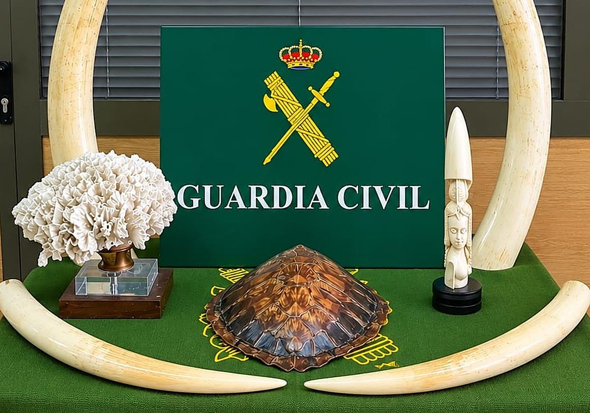 La Guardia Civil recupera especies protegidas en Las Palmas de Gran Canaria