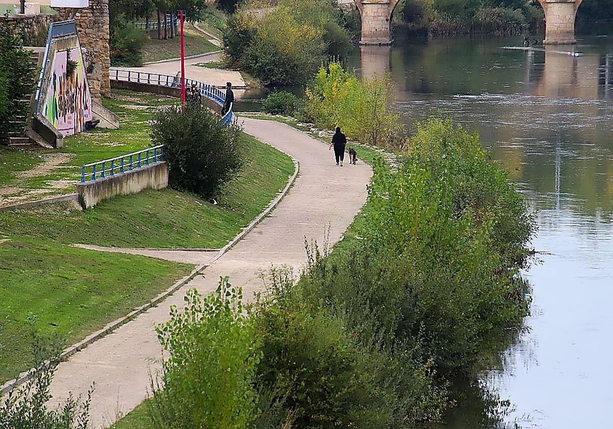 Perro que atacó a policías en Miranda de Ebro vuelve a morder a otro perro y a su dueña