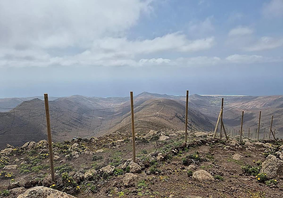 Muere una senderista por calor en Fuerteventura mientras caminaba a las tres de la tarde con la isla en alerta
