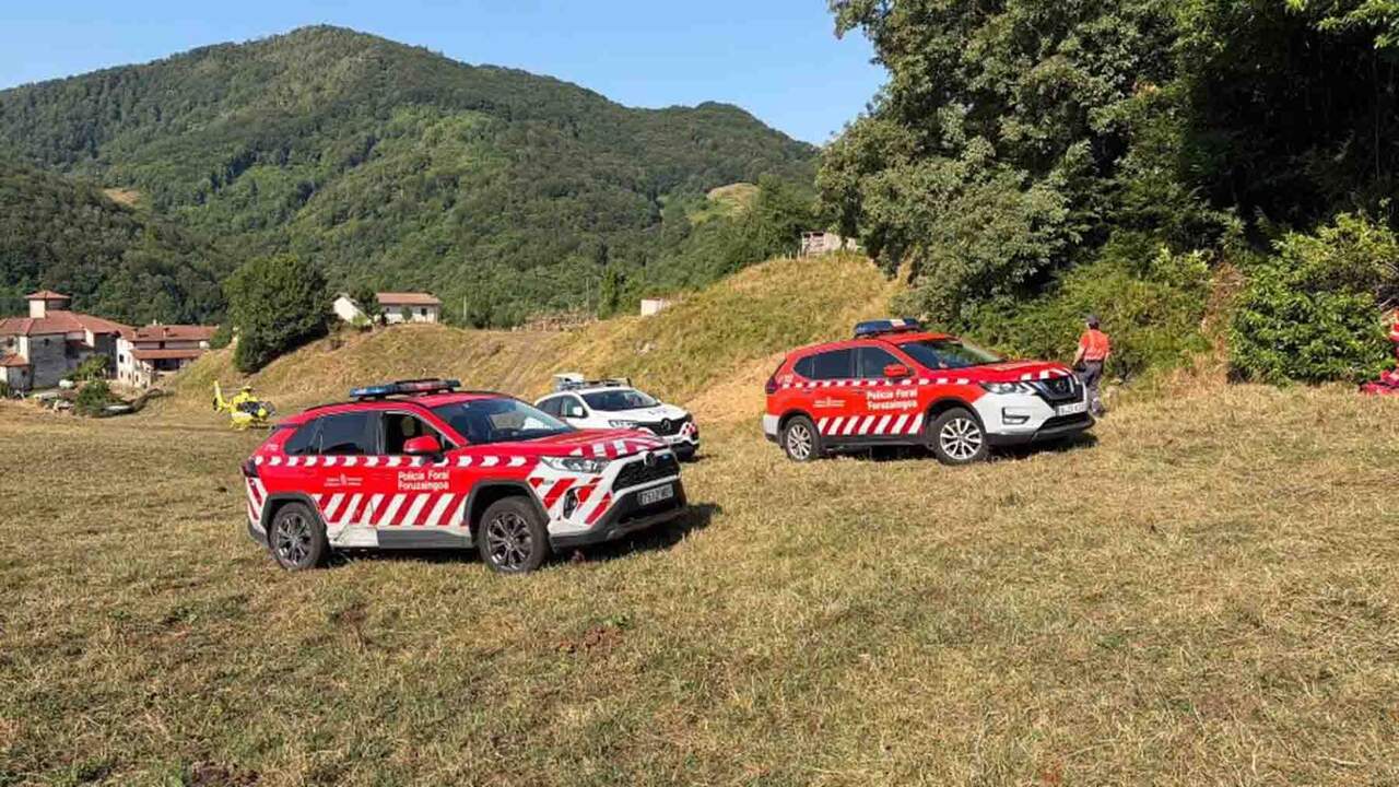 Un vecino de Irurzun cae desde un árbol a más de 3 metros de altura y es evacuado de urgencia en helicóptero