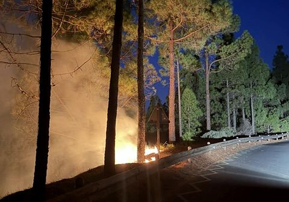 Un turista evita desastre ambiental en Gran Canaria al alertar conato de incendio