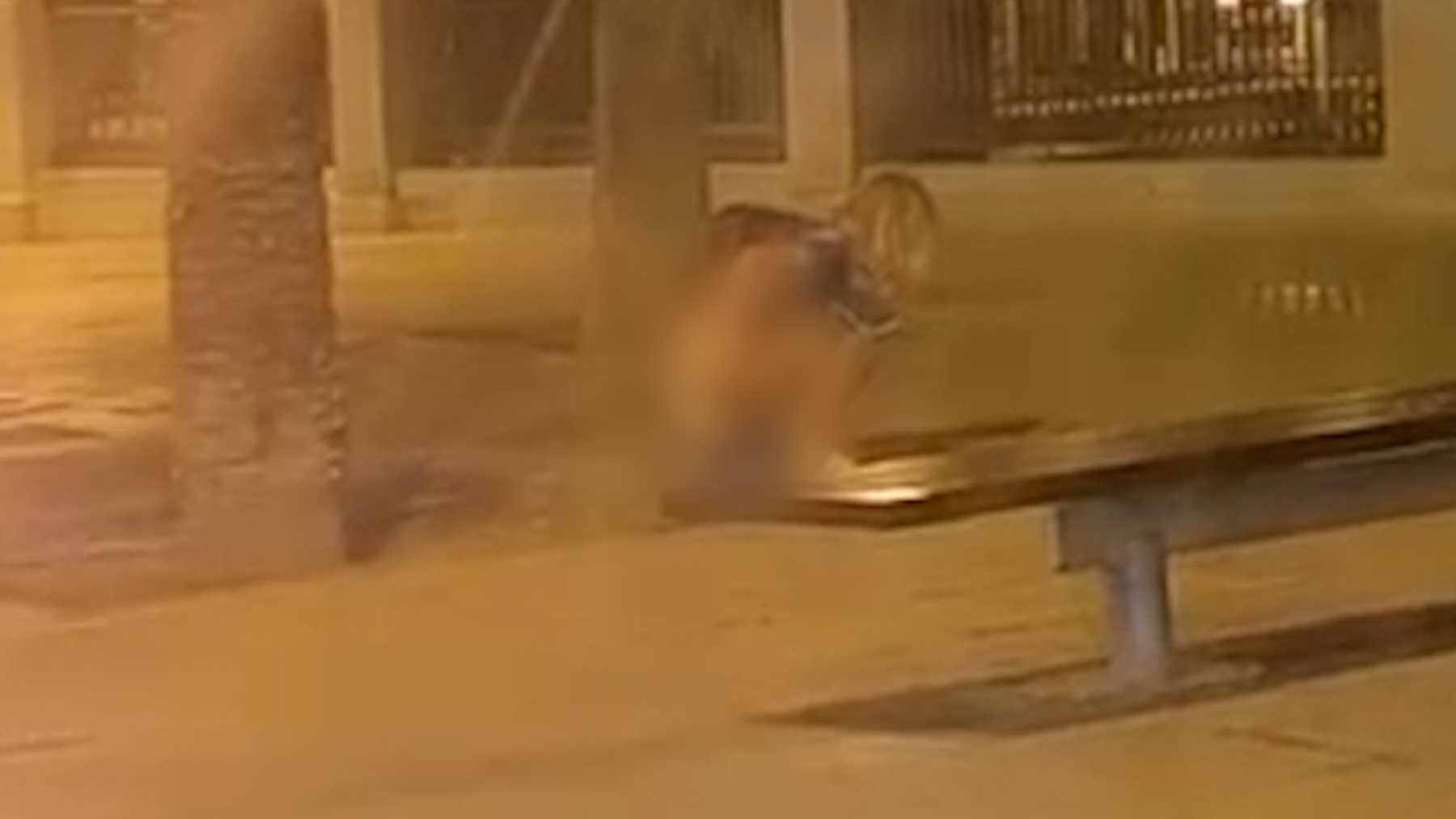 Ver vídeo