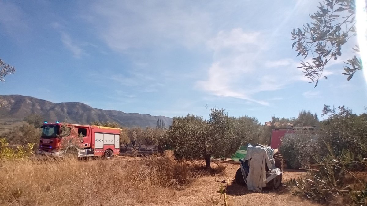 Declarados dos incendios de vegetación en Freginals y Amposta