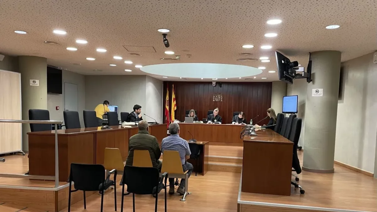 Condenado por intentar abusar de una menor que le devolvió el gato