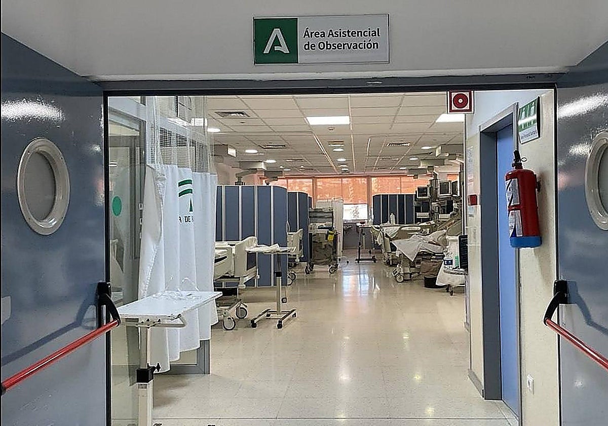 Violencia en Urgencias del Hospital Clínico de Málaga: Pacientes se enfrentan a puñetazos tras disputa por deuda y apuñalamiento previo