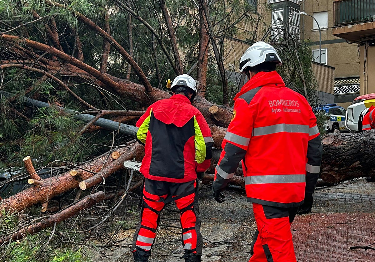 El temporal arranca un árbol en Salamanca: se lleva una farola, aplasta un coche y corta una calle