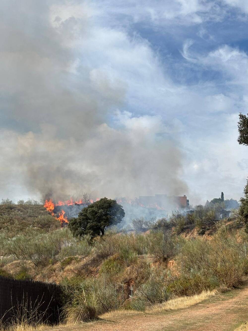 Controlado un incendio de pastos en Valparaíso