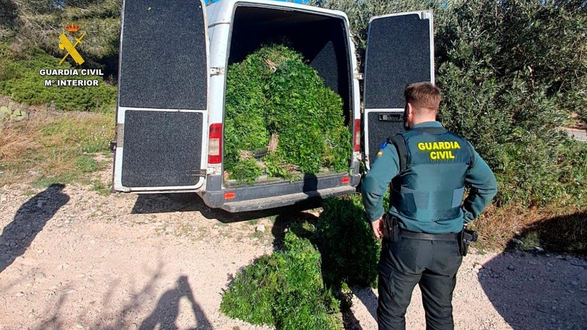 Los cabecillas de la trama del lentisco en Tarragona pagan la fianza y salen de prisión