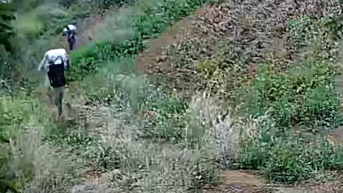 La cámara de seguridad de la finca captó a los preguntos responsables del robo de 800 kilogramos de papas negras de una finca en Tenerife.