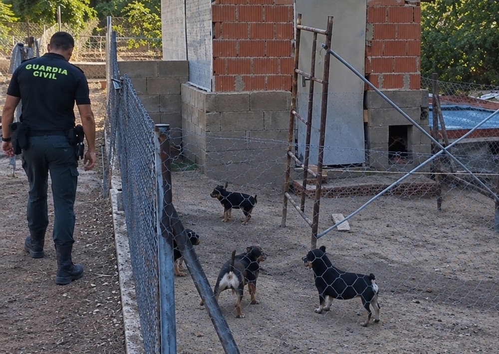 Desmantelan dos criaderos clandestinos de perros