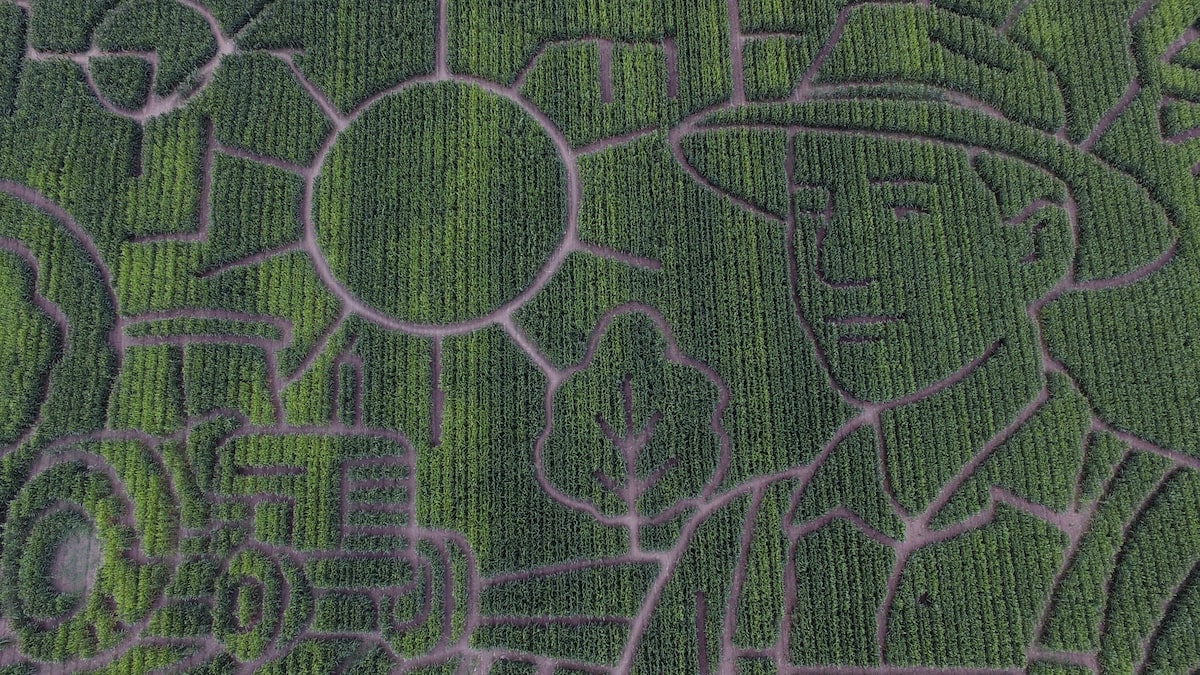 2 stabbed inside world’s largest corn maze