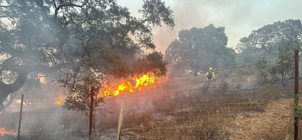 Declarado un incendio en Rosal de la frontera