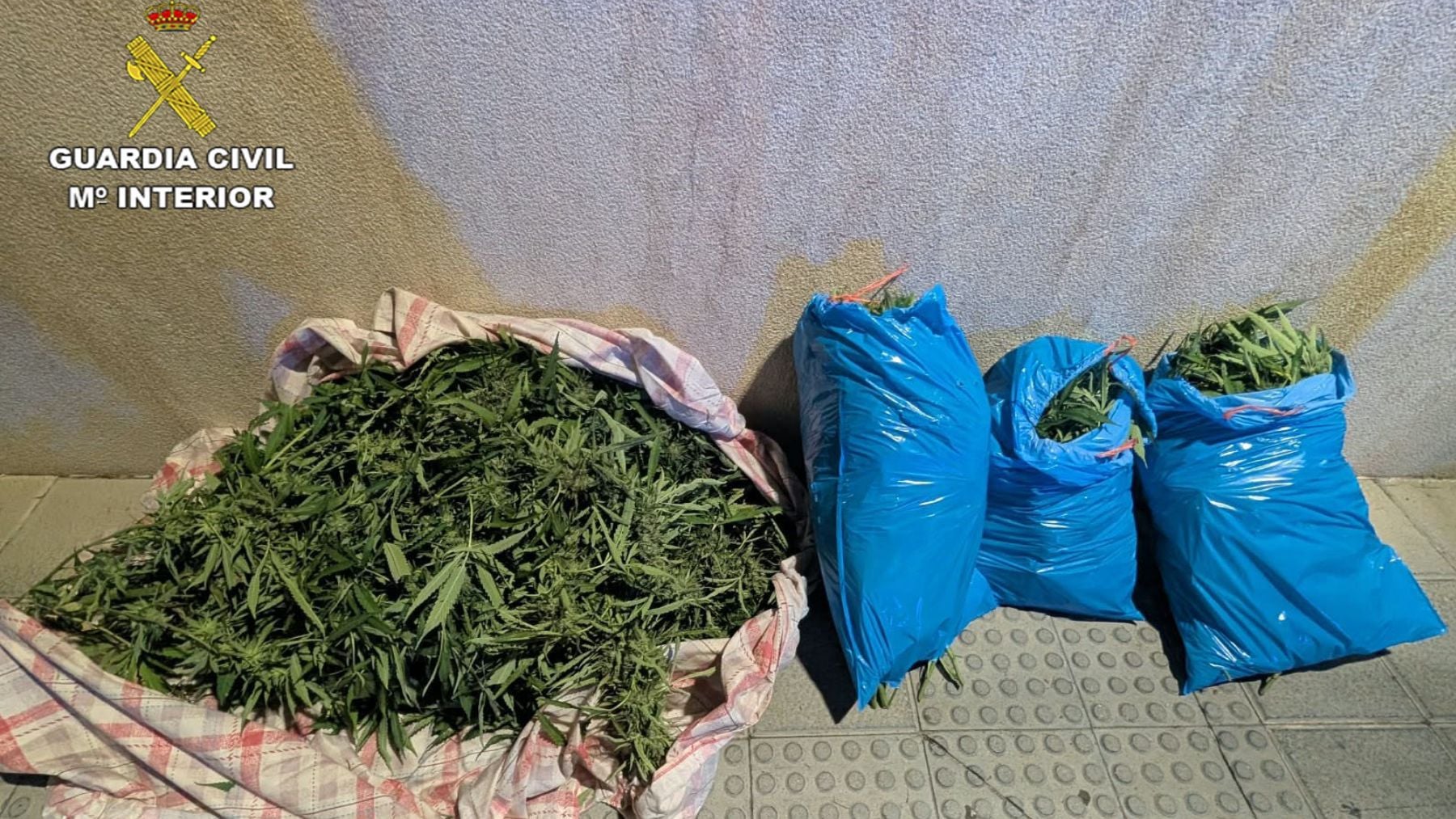 El fuerte olor a marihuana delata a un conductor en Mallorca que transportaba 14,5 kilos en su coche