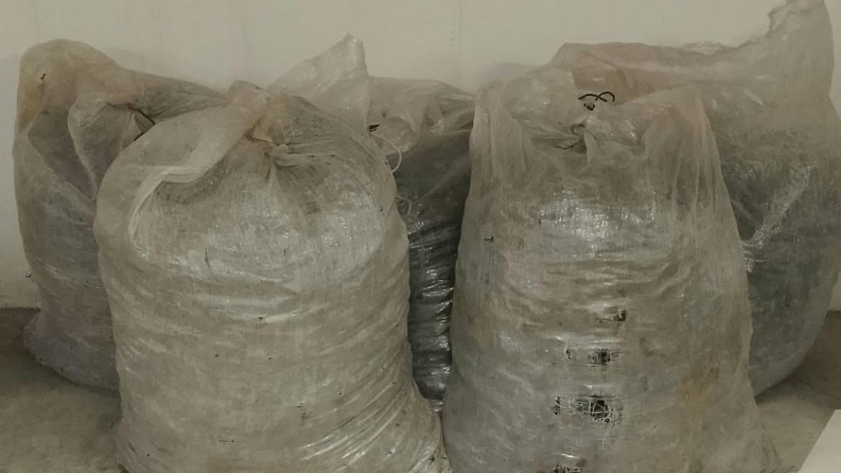 La Policia Local de Torredembarra intercepta 400 kilos de algarrobas de dudosa procedencia