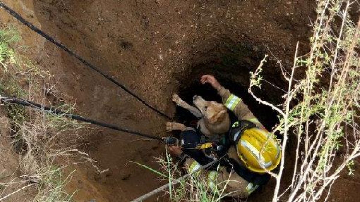 El rescate de un perro destapa un pozo sin sellar de 10 metros de profundidad en Cambrils