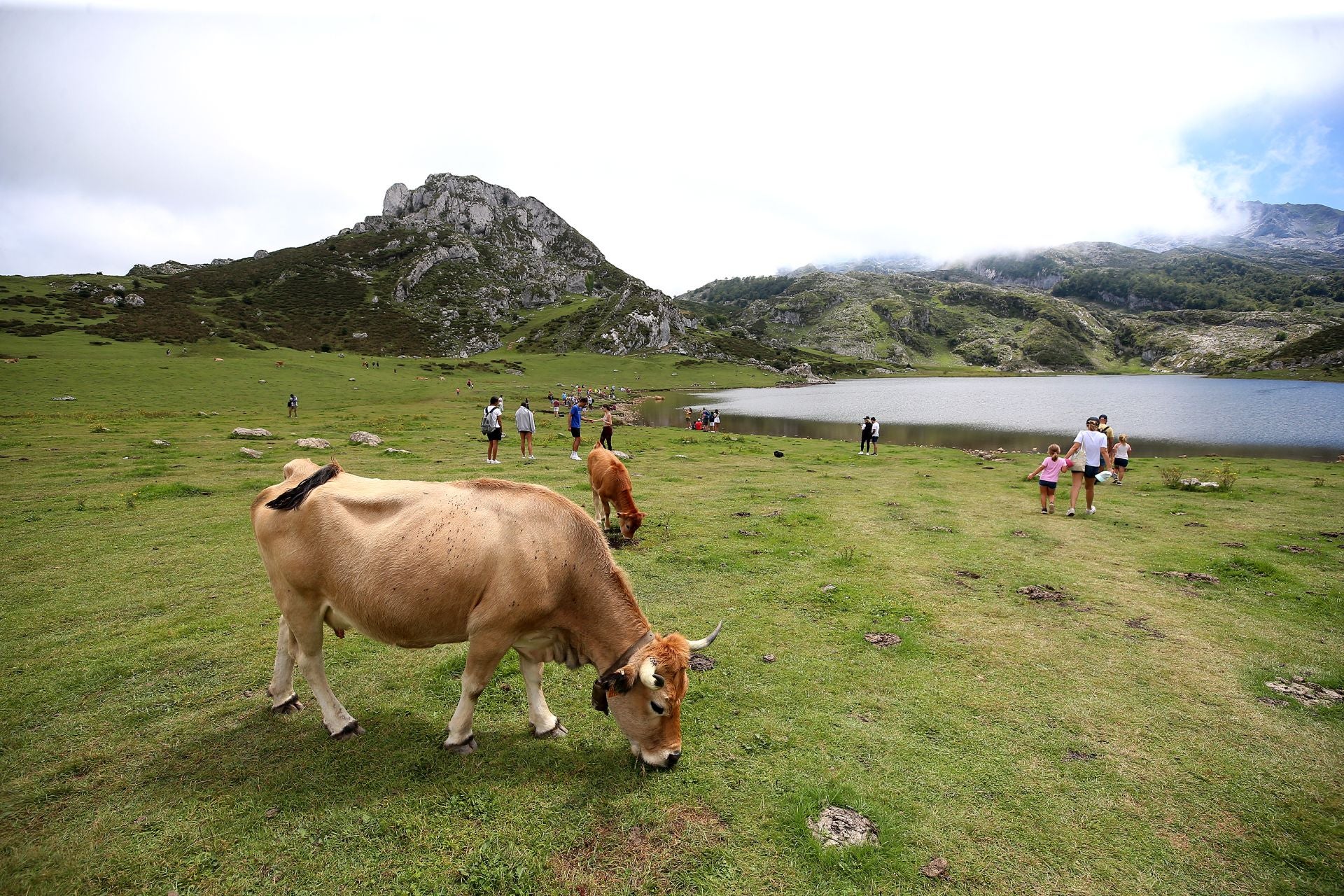 Herida una mujer tras resbalar en los Lagos de Covadonga