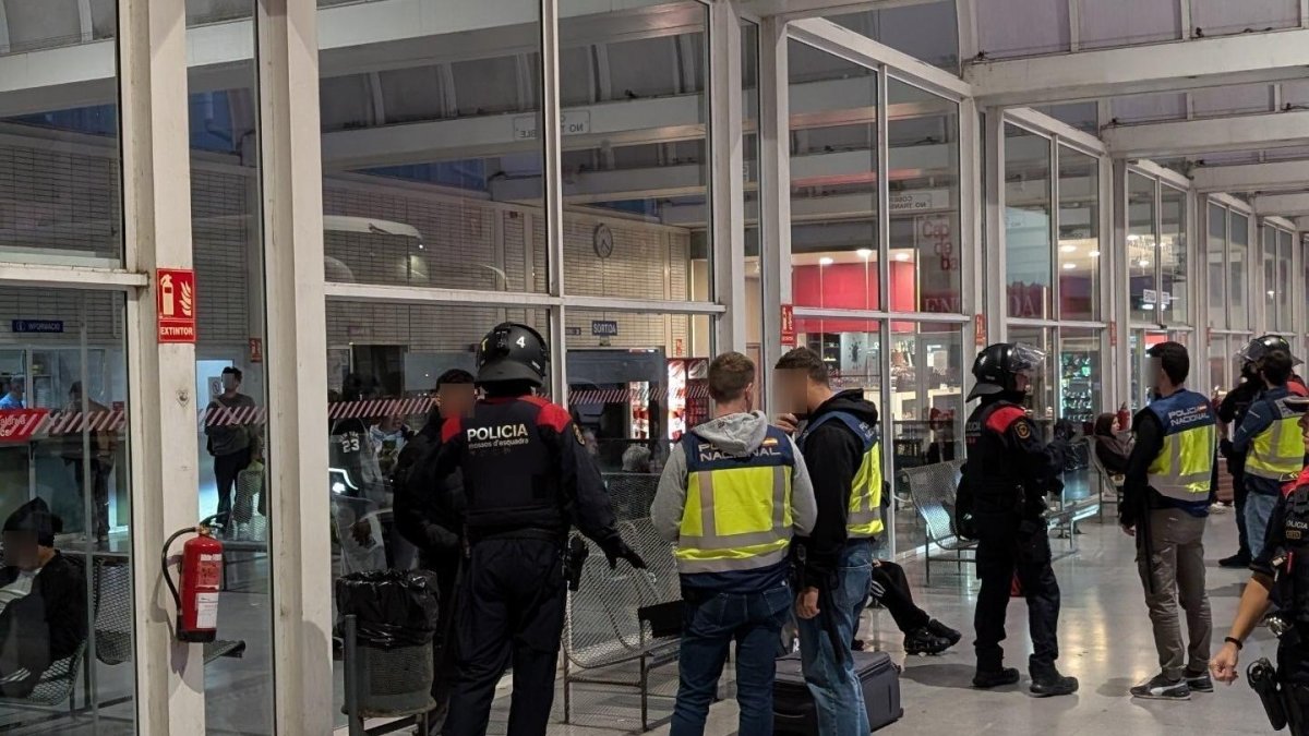 el dispositivo KANPAI detecta infracciones en 10 locales de Tortosa