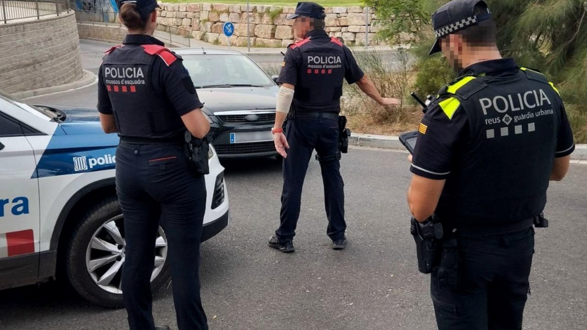 15 detenidos y 646 identificados