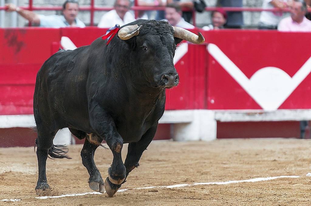 Muere una joven de 25 años tras una brutal cogida de un toro